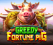 Greedy Fortune Pig